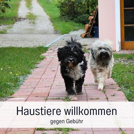 Seezeit Ferienwohnungen & Seminarhaus Am Ammersee Dießen am Ammersee 外观 照片